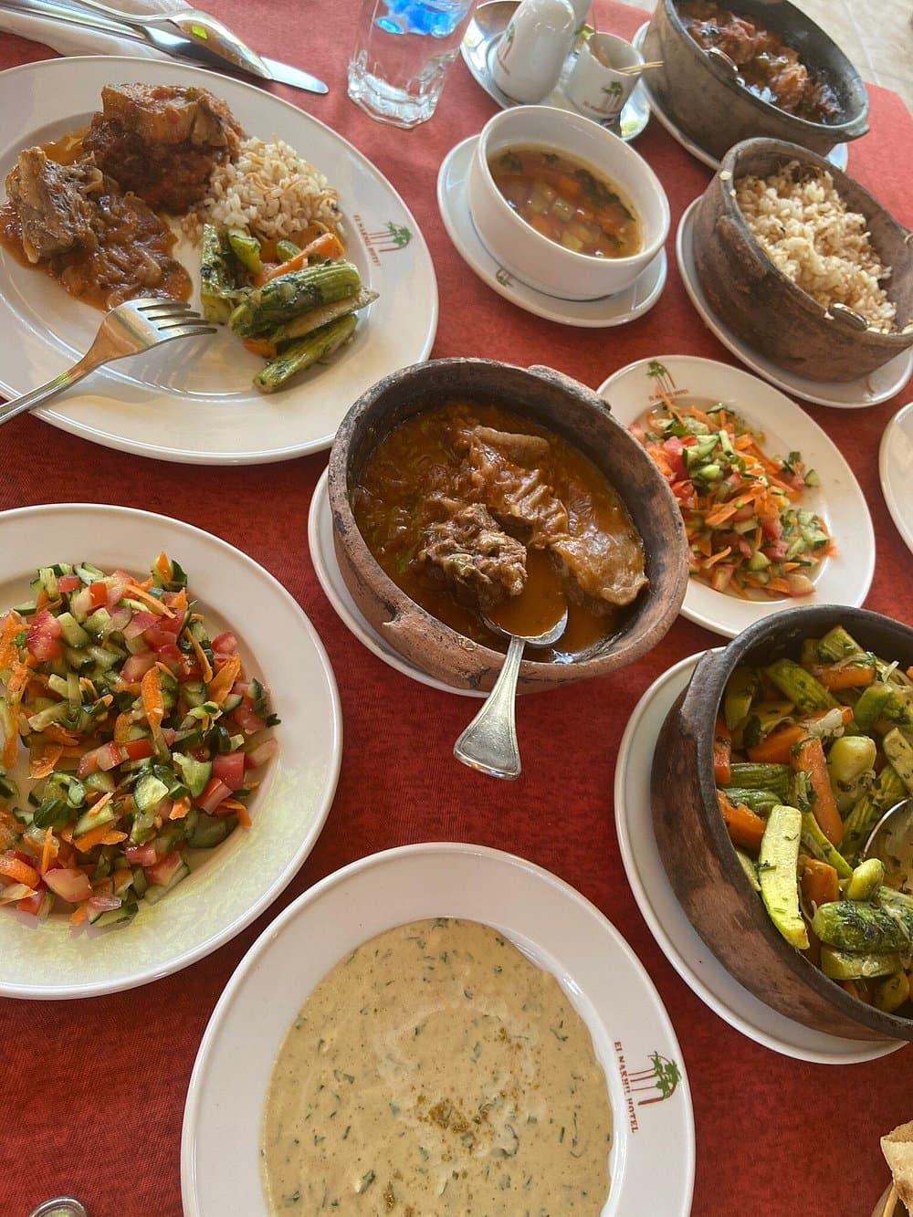 Terrace outdoor dining area with traditional Egyptian cuisine and panoramic views at Elnakhil Hotel in Luxor